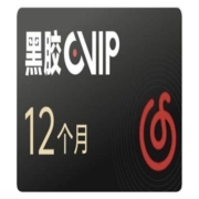 网易云音乐 黑胶vip会员一年 12个月
