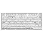 新盟（TECHNOLOGY） X75客制化机械键盘Gasket全透明热插拔凯华水母轴有线RGB游戏 白透【单模版】 盐白轴(45g段落)
