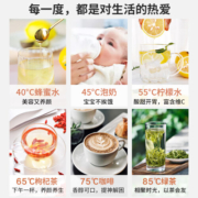 美的（Midea） 电热水瓶热水壶新款智能烧水家用全自动多段温控保温泡茶烧水5升大容量高效除氯电水壶 MK-P12Q