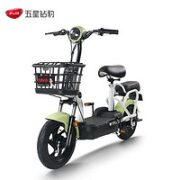 ZUB 五星钻豹 A0 新国标电动车 TDT29Z