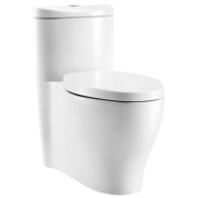 科勒（KOHLER） 马桶五级旋风连体坐便器家用抽水马桶缓降静音节水座便器3869 水漾连体马桶 290-390选305坑距3869T