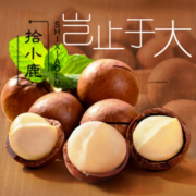 拾小鹿夏威夷果奶油味儿童孕妇零食果干年货袋装 夏威夷果  净重250g