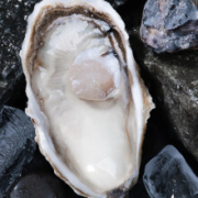 PLUS会员：牧海翁 乳山生蚝 特大号5斤装