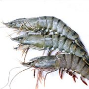 瀚通 特大号黑虎虾 净虾 350-400g