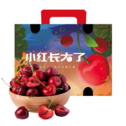 31日20点：Mr.Seafood 京鲜生 国产樱桃 XL级 2kg礼盒装