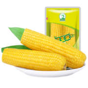 PLUS会员：Northeast Peasant Madame 东北农嫂 黄糯玉米 双支装6袋*300g（共12支）