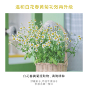 洋甘菊补水喷雾正品夏天保湿收缩毛孔旗舰店官方爽肤水男士女3