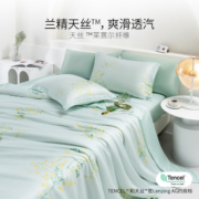 雅兰夏季天丝™四件套冰丝凉感纯色床单床笠裸睡被单双面床上用品