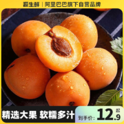 山西大黄杏子大果当季新鲜水果现摘金太阳麦黄杏3斤礼盒整箱包邮