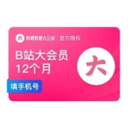 20点开始：bilibili 哔哩哔哩 大会员 年卡