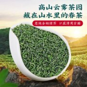 茶马世家 2023新茶恩施富硒高山绿茶250g