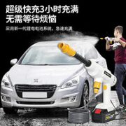 YANGZI 扬子 家用洗车机 神器风暴24V锂电
