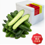 绿行者 水果黄瓜新鲜蔬菜小黄瓜荷兰水果黄瓜 2.5KG优级果