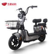 ZUB 五星钻豹 B10plus-24 新国标电动车 TDT94Z