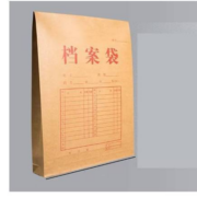 苏丰 档案袋 10个装 3cm进口环保无酸/210g