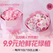 京东PLUS会员鲜花特权 X 520情人节专场 9.9元抢鲜花绿植