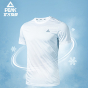 Peak 匹克 DF632361 冰巢科技运动短袖T恤