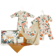 概率券、PLUS会员：babycare  新生儿衣服礼盒 十件套