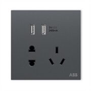 ABB 盈致系列 灰色 五孔带双USB插座