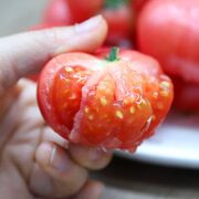 GREER 绿行者 番茄红心番茄 5斤