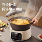 SUPOR 苏泊尔 DG30YC860 电炖锅 3L