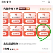 限部分用户：京东 满1.01-1元 支付券