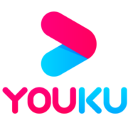 youku 优酷 VIP会员年卡 12个月