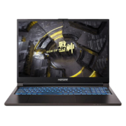 京东百亿补贴：Hasee 神舟 战神T8-DA7NP 16英寸游戏笔记本电脑（i7-12700H、16GB、512GB、RTX3060）