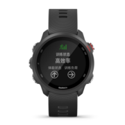 佳明（GARMIN） Forerunner245M智能运动手表户外血氧心率GPS跑步腕表情人节礼物  forerunner245M暗夜黑