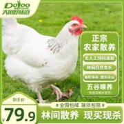 大用好味道 农家散养走地鸡 730g*4只