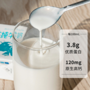 石埠纯牛奶广西水牛奶200ml*10整箱儿童成长营养早餐奶3.8克蛋白