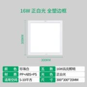 雷士照明 集成吊顶LED灯 30*30cm 16W 全塑款