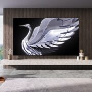 FFALCON 雷鸟 鹤7Pro 65R675C 液晶电视 65英寸