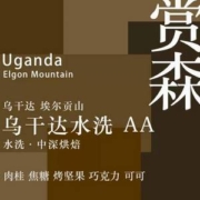 赏森 乌干达 埃尔贡山 水洗处理 咖啡豆 200g