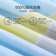 BLISS 百丽丝 40s幻彩天空 全棉对枕套一对装