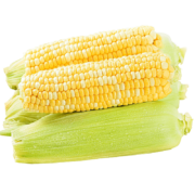 PLUS会员：沃多鲜玉米 新鲜蔬菜 产地当季直发金银水果玉米 9斤装