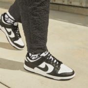 耐克（NIKE）男子运动鞋复古板鞋 DUNK LOW RETRO DD1391-100 41