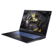 京东百亿补贴：HASEE 神舟 战神G8R9 17.3英寸笔记本电脑 (13代i9-13900H 16G 1TB RTX406）