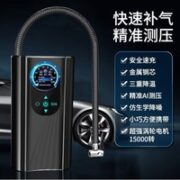 CHAOKOH 俏果 手持车载充气泵 汽车专用