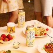 Carlsberg 嘉士伯 风花雪月 桃花/柠檬味特酿啤酒 500ml*12罐