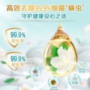立白天然茶籽除菌洗衣液6kg（500g*12袋）补充装 香味持久