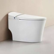 预售、PLUS会员：ANNWA 安华 T605M 全功能低水压抗菌智能马桶 305/400坑距