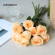 花加（flowerplus）520单品随机色玫瑰送女朋友送爱人玫瑰鲜花礼物云南基地直发鲜花 随机色玫瑰10枝