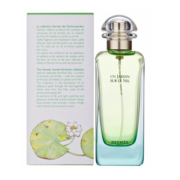 爱马仕尼罗河花园女士淡香水 100ml 花香调 618预售