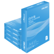 得力(deli)白令海A4打印纸 70g克500张*5包一箱 双面复印纸 高性价比草稿纸 整箱2500张 7753
