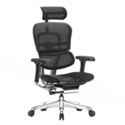保友办公家具（Ergonor）金豪e 2代高端人体工学椅电脑椅办公椅电竞椅 黑色(Q4.0)美国网