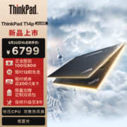 ThinkPad联想ThinkPad T14p 英特尔酷睿i5 14英寸高性能标压轻薄商务笔记本 13代酷睿 i5-13500H 16G 512G SSD 2.2K