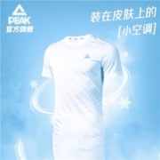 匹克 冰巢科技 速干t恤 男 夏季新品