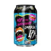 CRAFT NATION 奈炫 精酿啤酒 330ml*6瓶