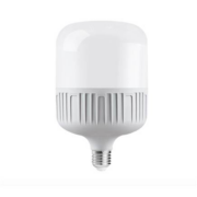 精忠报国  led节能灯泡  5W
